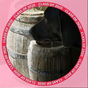 Meet your Posher, Patti